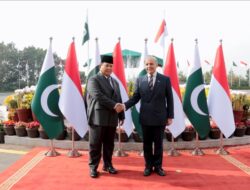 Presiden Prabowo Tegaskan Indonesia-Pakistan Dukung Kemerdekaan Palestina, Serukan Two-State Solution