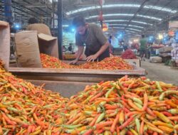 Stok Cukup, Harga Pangan Stabil, Petani hingga Konsumen Bahagia saat Lebaran