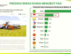 Simak! Bukti Kebijakan Pemerintah di Balik Swasembada dan Peningkatan Kesejahteraan Petani