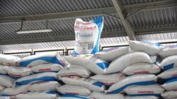Di Tengah Krisis Pupuk Global, Prabowo Justru Pangkas Harga 20% untuk Petani
