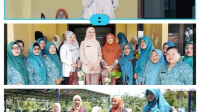 PERERAT SILATURAHMI DAN KOMUNIKASI ANTARA TP-PKK KABUPATEN PADANG LAWAS DENGAN KECAMATAN DAN DESA