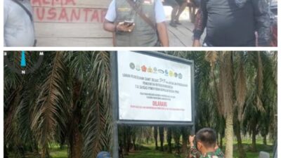 Warga Pondok Gelugur Kecewa, Lahan Sitaan PKH Dikelola Perusahaan Luar Tanpa Libatkan Masyarakat