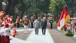 Presiden Prabowo Ajak Jerman Perluas Investasi di Energi Terbarukan hingga Kendaraan Listrik