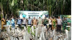 Peringati Hari Mangrove Sedunia: Polres Inhil Bersama Kodim 0314 dan Pemkab Tanam 5.000 Pohon Mangrove di Kecamatan Kuindra