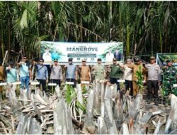 Peringati Hari Mangrove Sedunia: Polres Inhil Bersama Kodim 0314 dan Pemkab Tanam 5.000 Pohon Mangrove di Kecamatan Kuindra