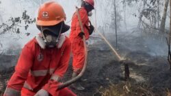 Atasi Karhutla Kalimantan, Modifikasi Cuaca Terus Dioptimalkan