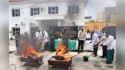 Musnahkan 2,84 Kg Narkotika dari 389 Perkara, Kajari Labuhanbatu: Komitmen Berantas Narkoba